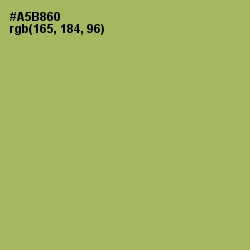 #A5B860 - Green Smoke Color Image