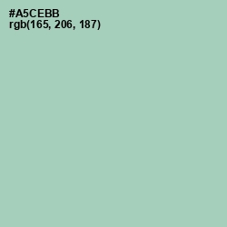 #A5CEBB - Spring Rain Color Image