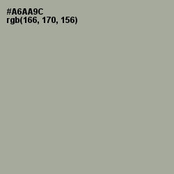 #A6AA9C - Bud Color Image