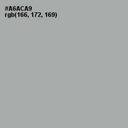 #A6ACA9 - Edward Color Image