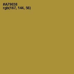 #A79038 - Luxor Gold Color Image