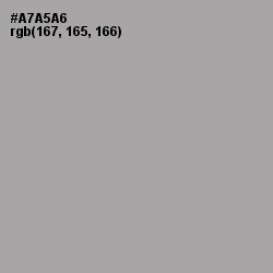 #A7A5A6 - Shady Lady Color Image