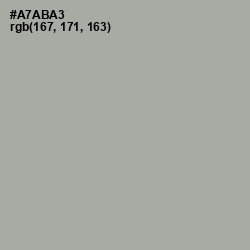 #A7ABA3 - Shady Lady Color Image