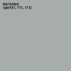 #A7ADAD - Edward Color Image