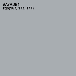 #A7ADB1 - Gray Chateau Color Image