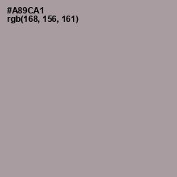 #A89CA1 - Amethyst Smoke Color Image