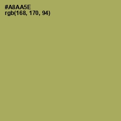 #A8AA5E - Olive Green Color Image