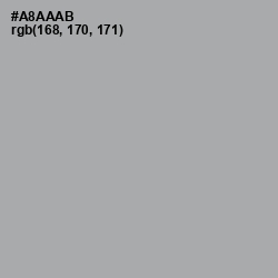 #A8AAAB - Silver Chalice Color Image