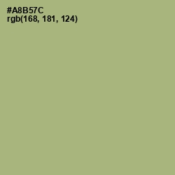 #A8B57C - Green Smoke Color Image