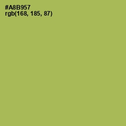 #A8B957 - Olive Green Color Image