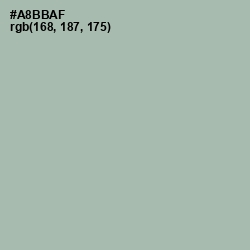 #A8BBAF - Edward Color Image