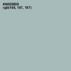 #A8BBBB - Tower Gray Color Image