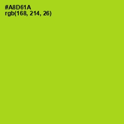 #A8D61A - Bahia Color Image