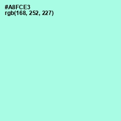 #A8FCE3 - Ice Cold Color Image