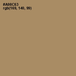 #A98C63 - Sandal Color Image