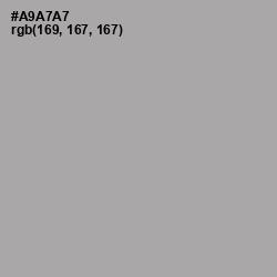 #A9A7A7 - Shady Lady Color Image