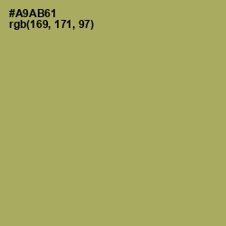 #A9AB61 - Green Smoke Color Image