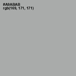 #A9ABAB - Silver Chalice Color Image