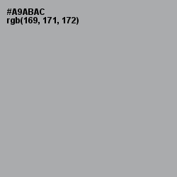 #A9ABAC - Silver Chalice Color Image