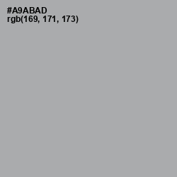 #A9ABAD - Silver Chalice Color Image