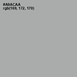 #A9ACAA - Silver Chalice Color Image