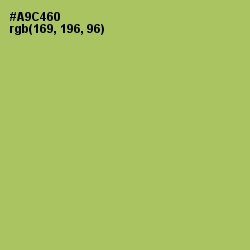 #A9C460 - Wild Willow Color Image