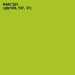 #A9C525 - Key Lime Pie Color Image