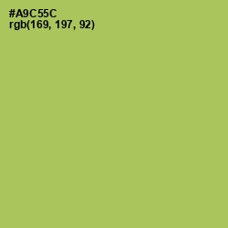 #A9C55C - Celery Color Image