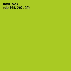 #A9CA23 - Key Lime Pie Color Image