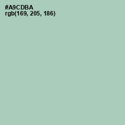 #A9CDBA - Spring Rain Color Image