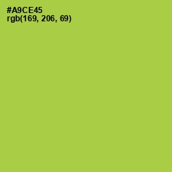 #A9CE45 - Conifer Color Image