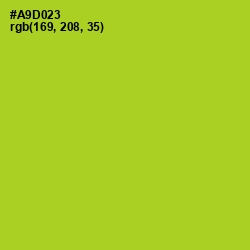 #A9D023 - Key Lime Pie Color Image