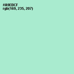#A9EBCF - Padua Color Image