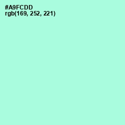 #A9FCDD - Magic Mint Color Image