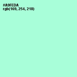 #A9FEDA - Magic Mint Color Image