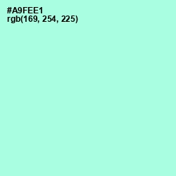 #A9FEE1 - Ice Cold Color Image