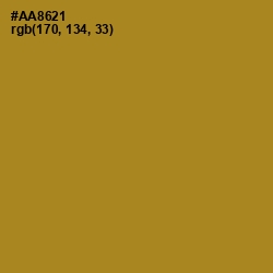 #AA8621 - Luxor Gold Color Image