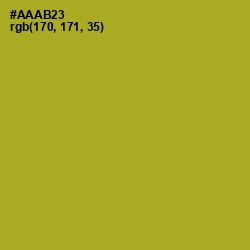 #AAAB23 - Citron Color Image
