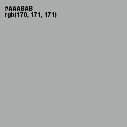 #AAABAB - Silver Chalice Color Image