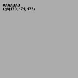 #AAABAD - Silver Chalice Color Image