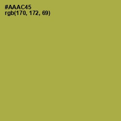 #AAAC45 - Husk Color Image