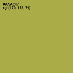 #AAAC47 - Husk Color Image