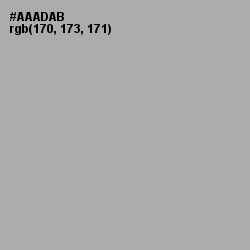 #AAADAB - Silver Chalice Color Image