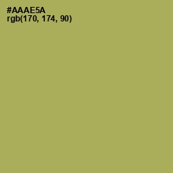 #AAAE5A - Olive Green Color Image
