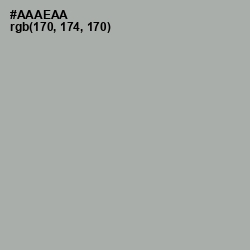 #AAAEAA - Silver Chalice Color Image