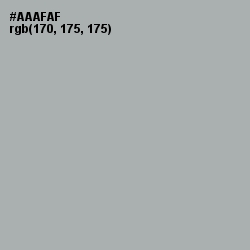 #AAAFAF - Silver Chalice Color Image