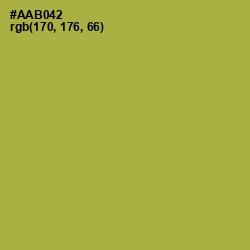 #AAB042 - Husk Color Image