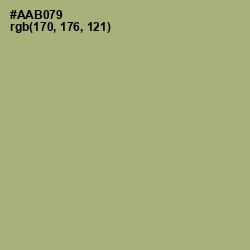 #AAB079 - Green Smoke Color Image