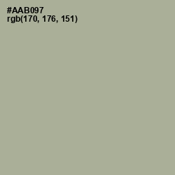 #AAB097 - Schist Color Image