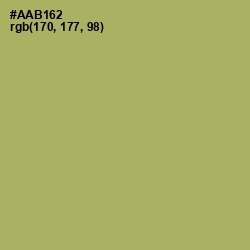 #AAB162 - Green Smoke Color Image